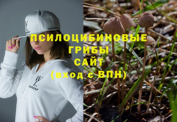 spice Кинешма
