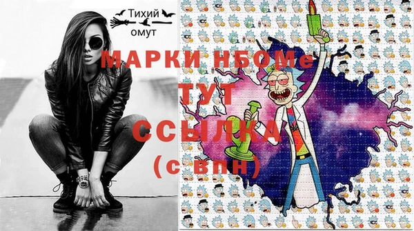 твердый Козельск