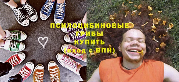 spice Кинешма