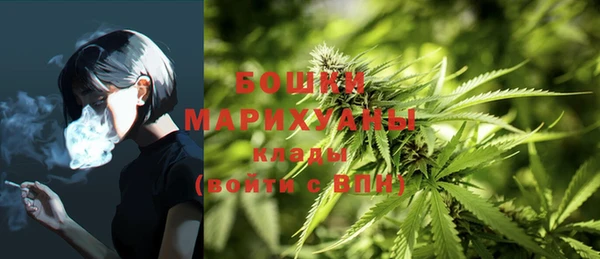крисы Билибино